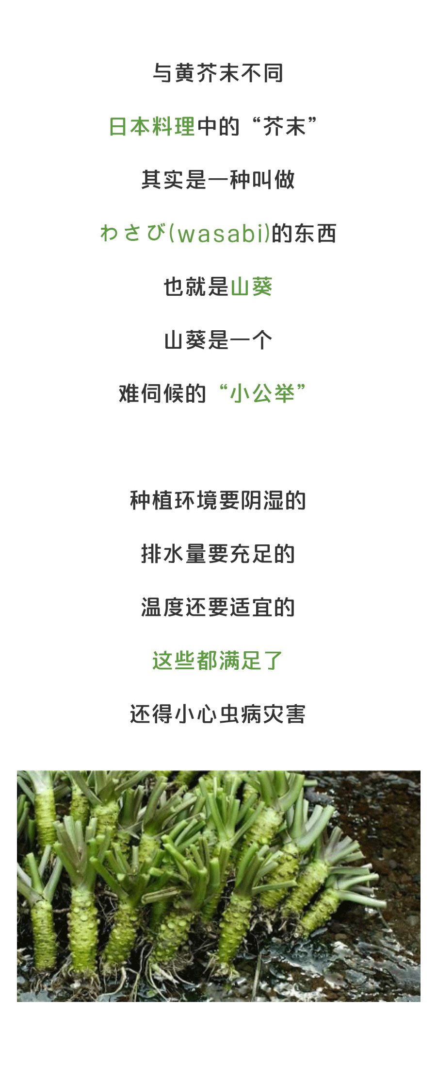 十件能撬动2017物流江湖的小事_十大外围足球平台app(图4) 十大外围足球平台app