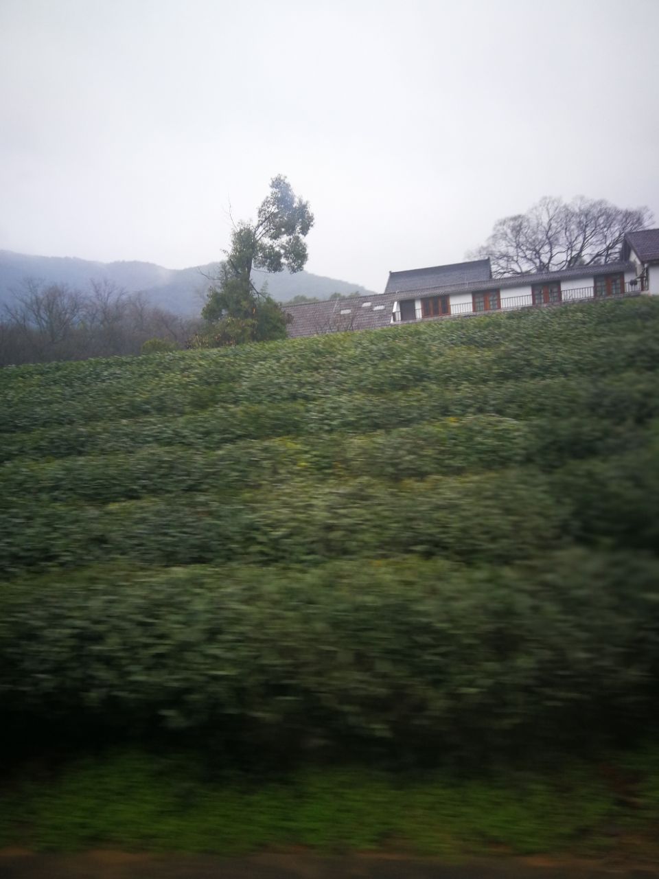 十大外围足球平台app