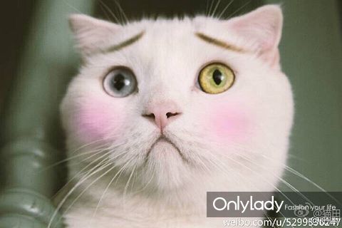 十大外围足球平台app