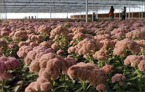 亚泰官方:巴巴扬就任球队新帅 昔日乌超最佳主教练“十大外围足球平台app”(图4) 十大外围足球平台app