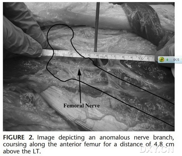 十大外围足球平台app