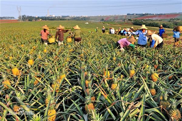 十大外围足球平台app