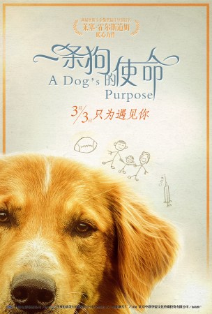 十大外围足球平台app