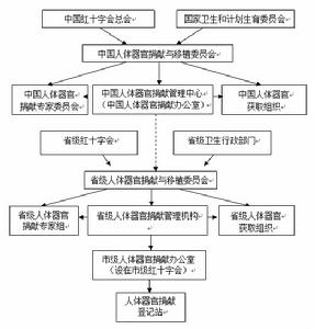十大外围足球平台app